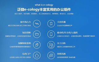 泛微软件怎么样