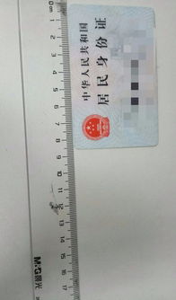 七寸有多大图片参照物