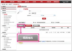 新网的域名管理http://dcp.xinnet .康姆/怎么进去以