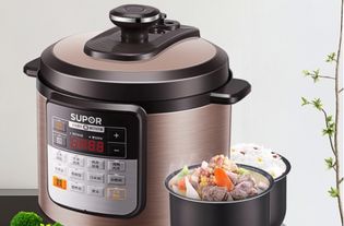 电压力锅哪个牌子好性价比高,哪个牌子的电压力锅质量好又安全