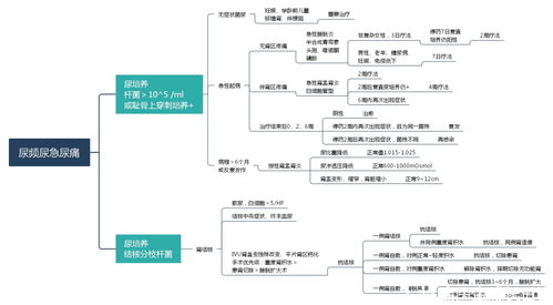 系统流程图怎么做？