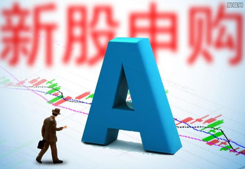 有什么挣钱的好项目