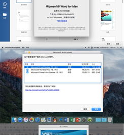苹果电脑软件在哪里下载,苹果电脑软件卸载不了怎么办