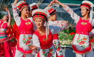 56个民族的风俗习惯简介（50个字左右）