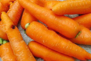 吃生萝卜的作用与功效
