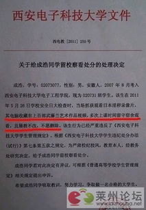 一曲忠诚的赞歌 到底是嘛玩意儿？