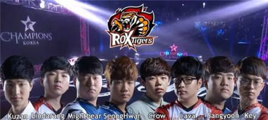ROX战队是哪个国家的 ROX战队成员资料介绍
