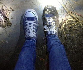 男人梦见脚踩屎是什么征兆