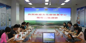 国家互联网信息办公室的主要职责