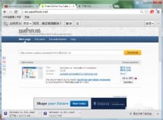 如何下载Youtube上的视频？