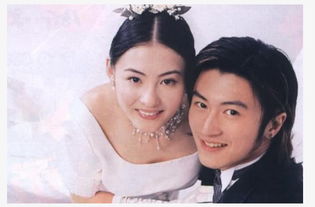 谢霆锋张柏芝离婚原因