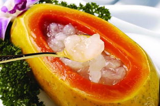 雪蛤炖木瓜的做法