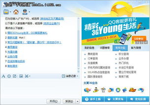 什么是网络客服