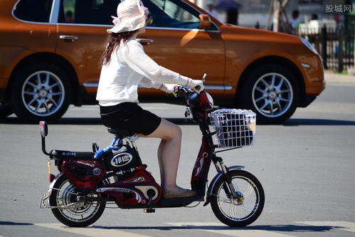 电动车十大排名