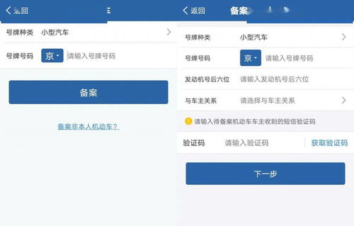在哪里可以查违章