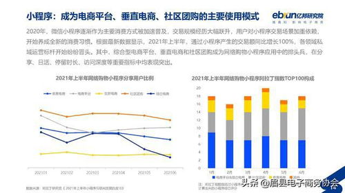 什么是垂直电子商务？