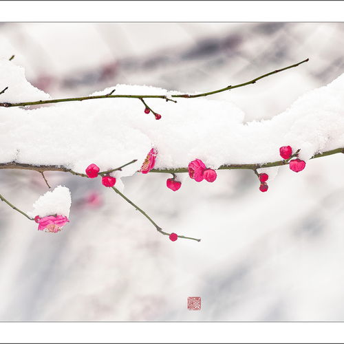 感想 英文,感想是什么意思怎么写