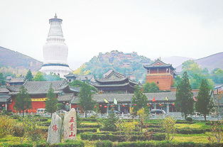 五台山旅行社有哪些