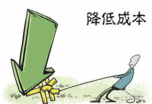 低成本创业适合年轻人,低成本创业 樊登