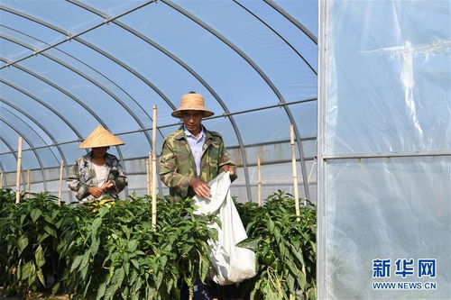 小康生活水平是人均什么标准