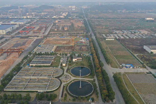 长江集团中心的建筑布局