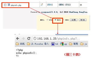 easypanel怎么解析域名