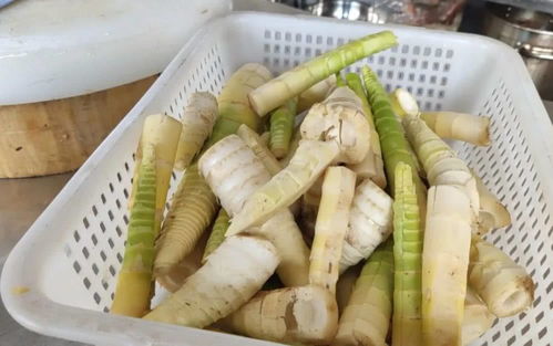 西安市第八十三中学的办学成果