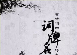 有哪些好听的词牌名