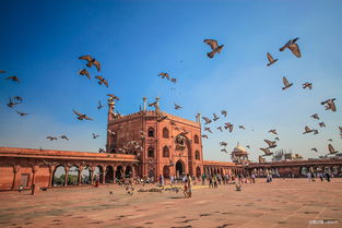 世界四大文明是哪四个呢