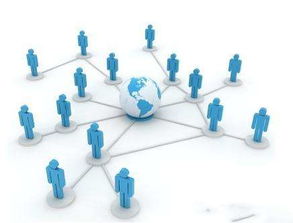 网络营销概述,网络营销管理