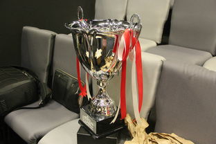 dota2的wings战队有教练的吗？