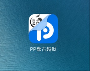 “推出”的近义词有哪些？