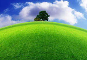 农村能做的环保项目有哪些,环保都有什么项目