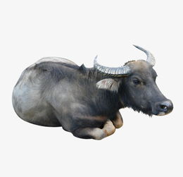 为什么很多人都叫李晨“大黑牛”？