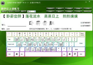 新手练习五笔打字用什么软件好