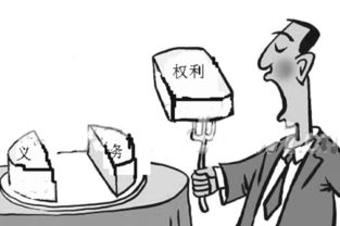 权力和权利的意思