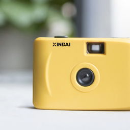 LOMO是 什么意思啊