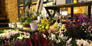 关于开花店的创业计划书，关于开花店的句子