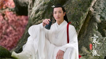 哪部电视剧中有叫云风的？