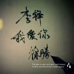 《没有理由》歌词是什么？