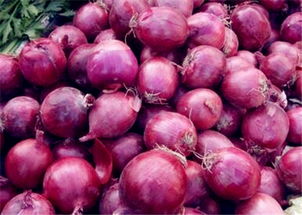 如何联上洋葱网（Tor)