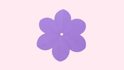 普通小花怎么剪 手工