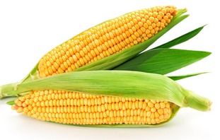 梦见生了个玉米，梦到玉米生男孩女孩