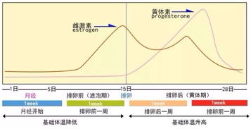 女生生理周期是多长时间