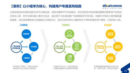 什么是垂直类电商