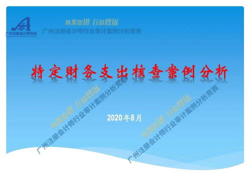 审计案例分析？