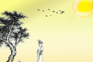 月夜忆舍弟古诗翻译