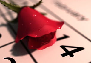 2月14日是什么情人节，有啥习俗？