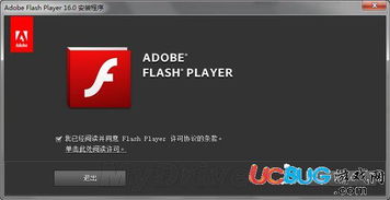 怎么下载flash格式文件