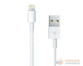 苹果数据线要多少钱